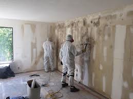 Mold Remediation for Rental Properties in Eagleville, PA